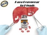Cardo Hepatico: Hígado Saludable.