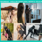 Combo 3 Mini Cámara Espía 24/7 En Tiempo - Image 3